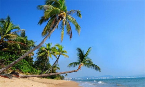 一品一味量贩零食