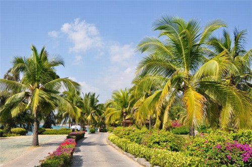 富丽客巴西烤肉