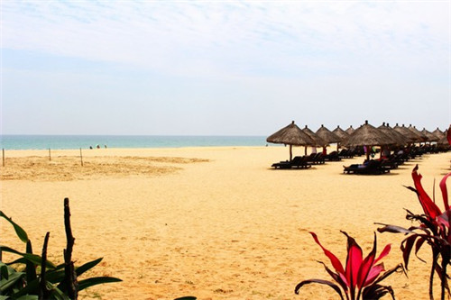 小鱼乒乓乒乓球培训