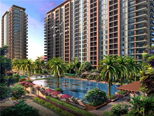 车之珍汽车美容