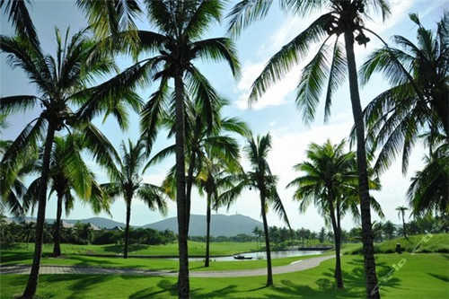 特色冰激凌奶茶店