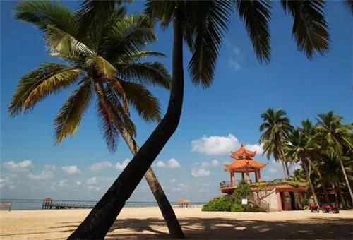 创业7年开了7家店怎么办