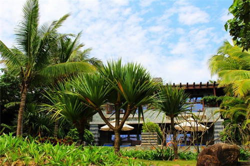 绯茶加盟开店会亏吗，绯茶2025年还可以加盟吗