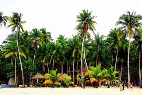 快手卖货快递怎么合作（快手卖东西怎么和快递合作）