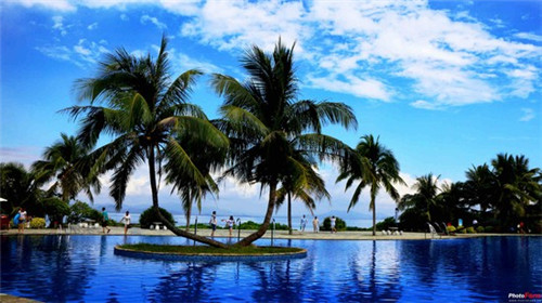 端游提莫符文带什么好用（提莫最强新版符文天赋）