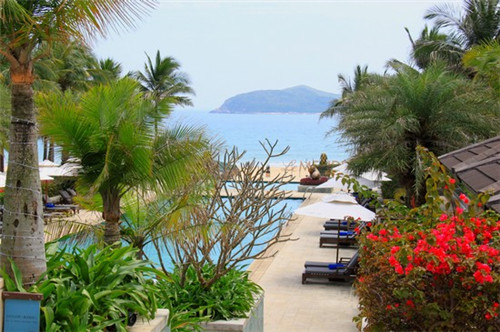 橡胶树种植公司名称起名（橡胶树种植公司名称起名怎么起）