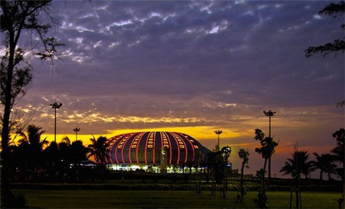 为什么动物会有不同的寿命（为什么动物寿命短）