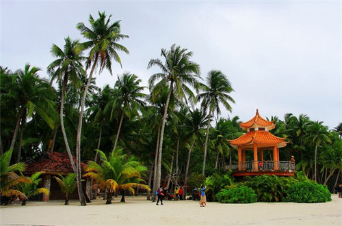 涉案党员通报编号是什么（公安机关通报党员违法）