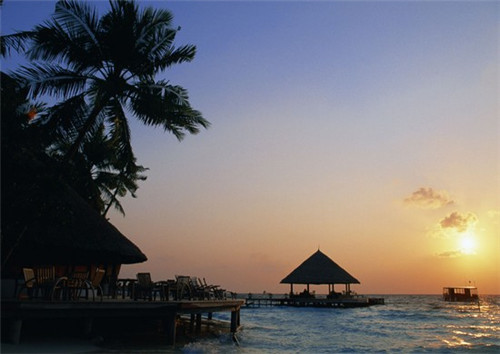 米炒干水蛭怎么炒好吃（干水蛭的最佳吃法）