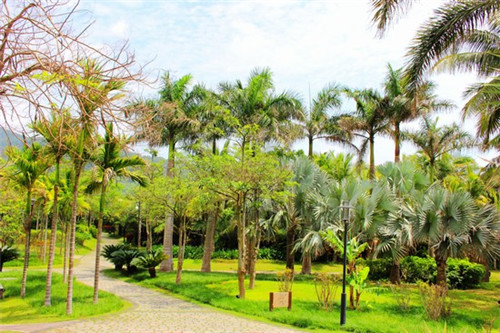 叁拾佳咖啡在宁海县知名度大吗